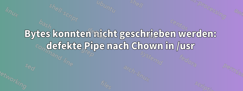 Bytes konnten nicht geschrieben werden: defekte Pipe nach Chown in /usr