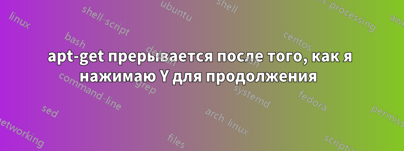 apt-get прерывается после того, как я нажимаю Y для продолжения 