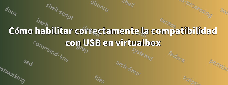 Cómo habilitar correctamente la compatibilidad con USB en virtualbox