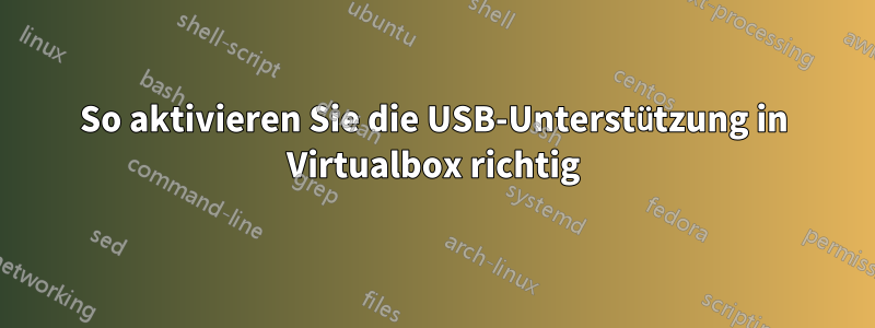 So aktivieren Sie die USB-Unterstützung in Virtualbox richtig