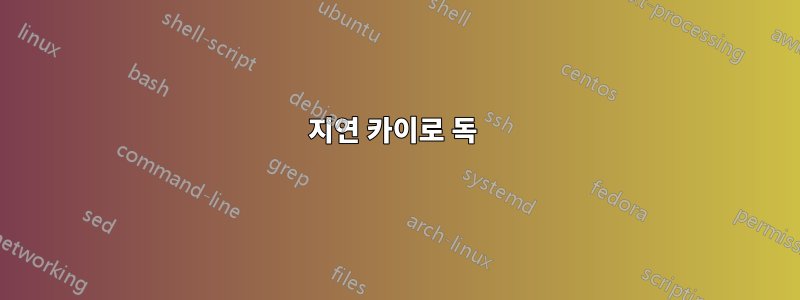 지연 카이로 독 