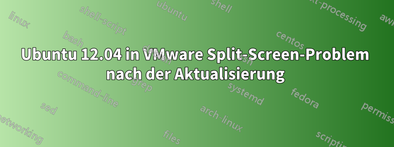 Ubuntu 12.04 in VMware Split-Screen-Problem nach der Aktualisierung