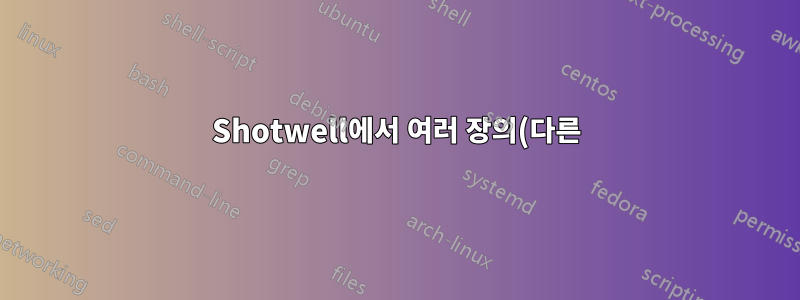 Shotwell에서 여러 장의(다른) 사진을 인쇄할 수 있습니까?