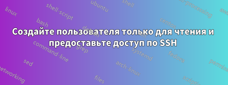 Создайте пользователя только для чтения и предоставьте доступ по SSH