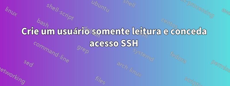 Crie um usuário somente leitura e conceda acesso SSH