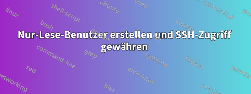 Nur-Lese-Benutzer erstellen und SSH-Zugriff gewähren