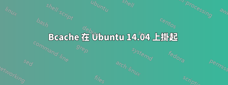 Bcache 在 Ubuntu 14.04 上掛起