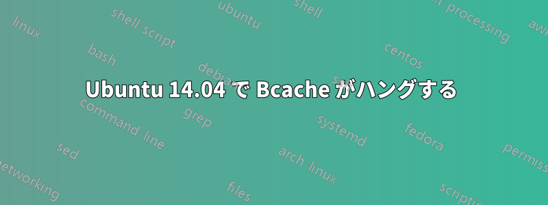 Ubuntu 14.04 で Bcache がハングする