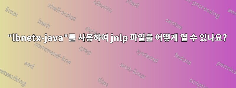 "lbnetx-java"를 사용하여 jnlp 파일을 어떻게 열 수 있나요?