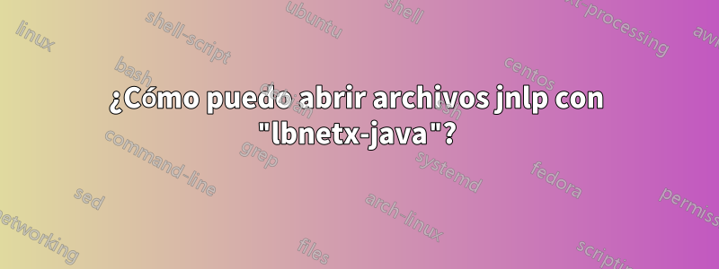 ¿Cómo puedo abrir archivos jnlp con "lbnetx-java"?