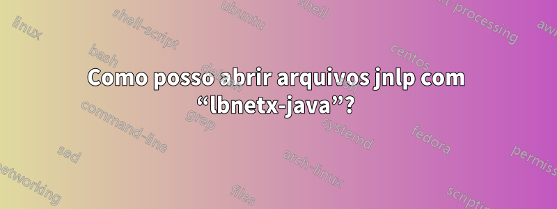 Como posso abrir arquivos jnlp com “lbnetx-java”?