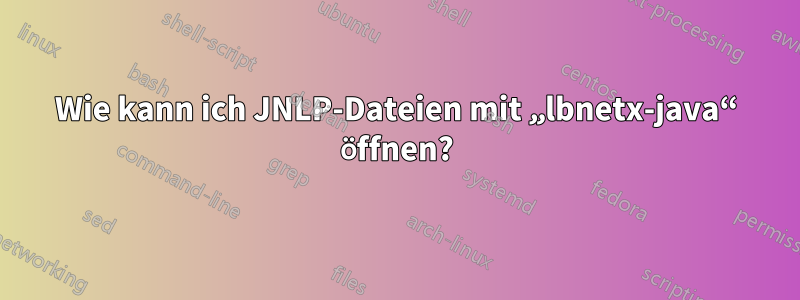 Wie kann ich JNLP-Dateien mit „lbnetx-java“ öffnen?