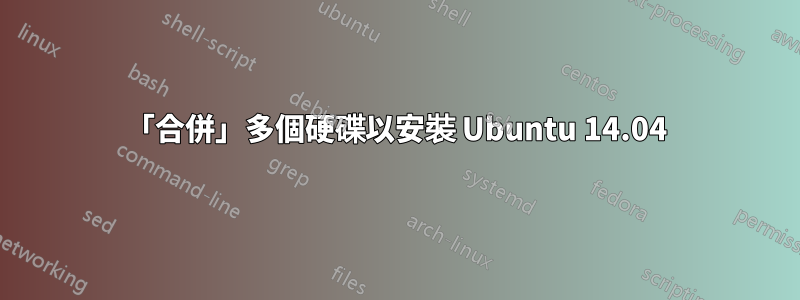 「合併」多個硬碟以安裝 Ubuntu 14.04