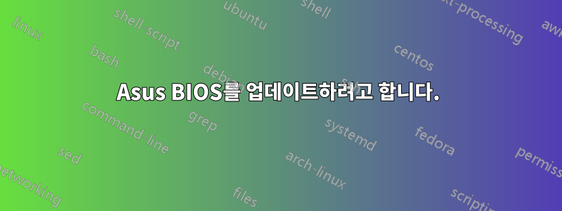 Asus BIOS를 업데이트하려고 합니다.