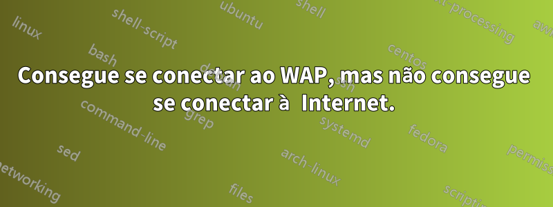 Consegue se conectar ao WAP, mas não consegue se conectar à Internet.