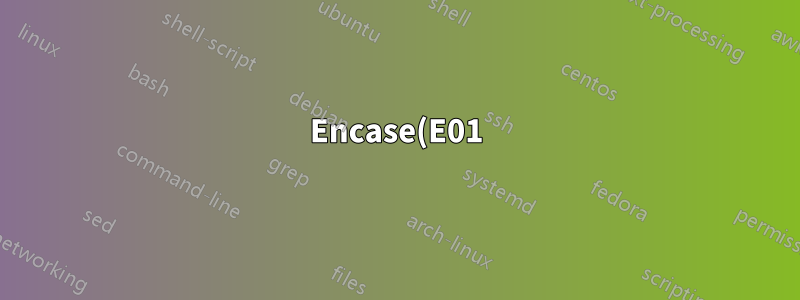 Encase(E01)에서 Raw 형식으로 디스크 이미지 변환