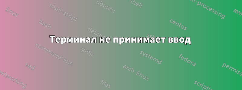 Терминал не принимает ввод
