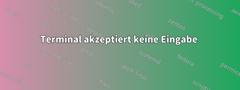 Terminal akzeptiert keine Eingabe