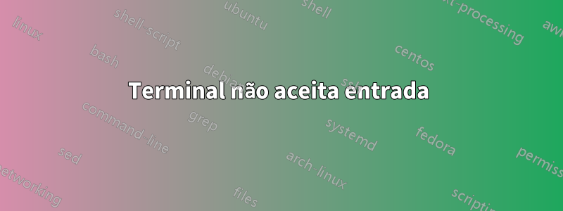 Terminal não aceita entrada