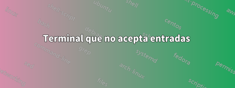 Terminal que no acepta entradas