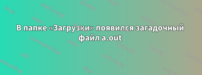 В папке «Загрузки» появился загадочный файл a.out