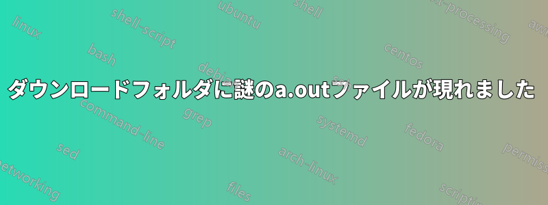 ダウンロードフォルダに謎のa.outファイルが現れました