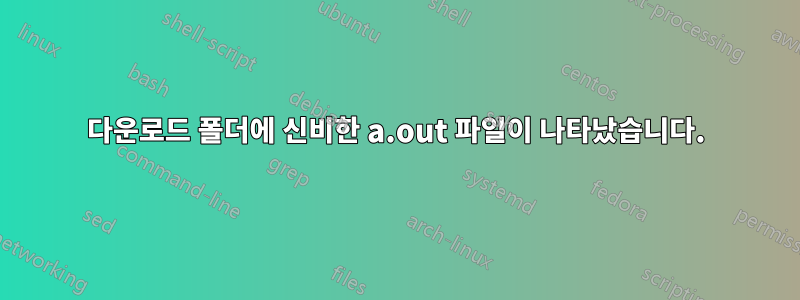 다운로드 폴더에 신비한 a.out 파일이 나타났습니다.