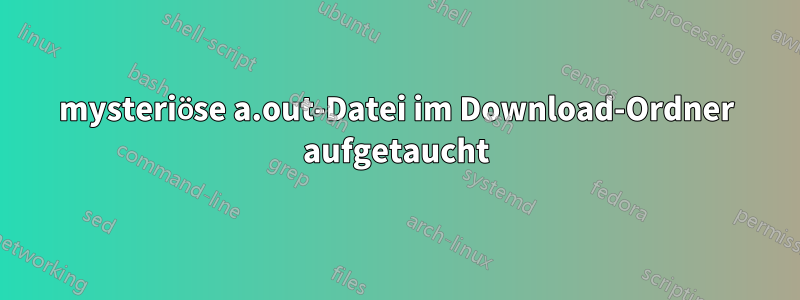 mysteriöse a.out-Datei im Download-Ordner aufgetaucht