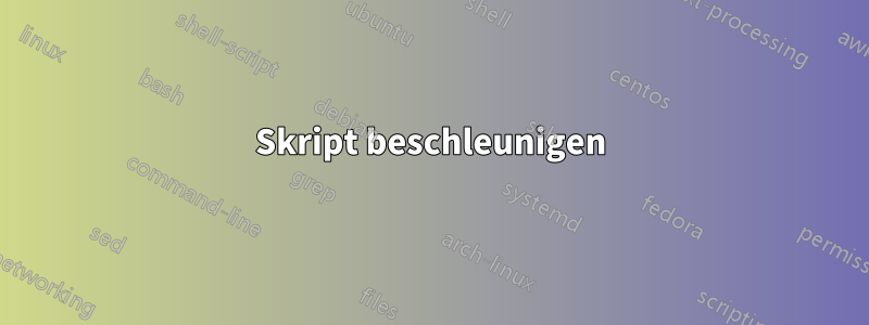 Skript beschleunigen