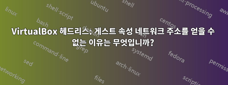 VirtualBox 헤드리스: 게스트 속성 네트워크 주소를 얻을 수 없는 이유는 무엇입니까?