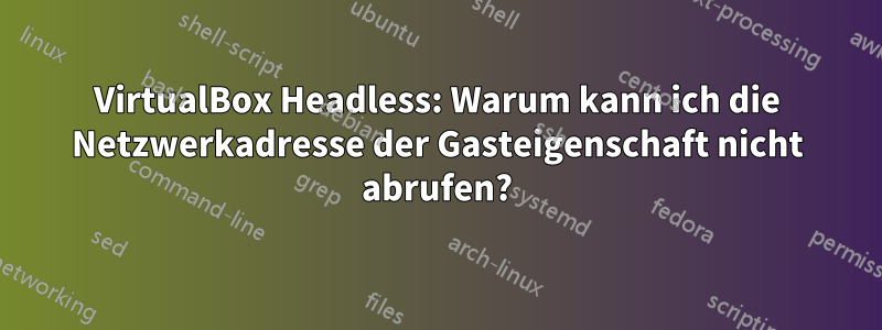 VirtualBox Headless: Warum kann ich die Netzwerkadresse der Gasteigenschaft nicht abrufen?