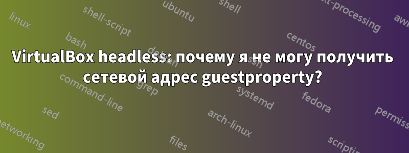 VirtualBox headless: почему я не могу получить сетевой адрес guestproperty?
