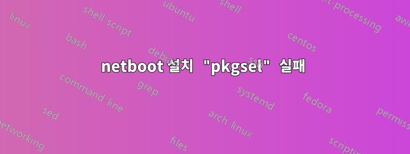 netboot 설치 "pkgsel" 실패