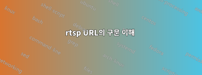 rtsp URL의 구문 이해