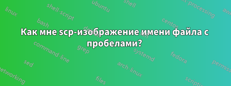 Как мне scp-изображение имени файла с пробелами?
