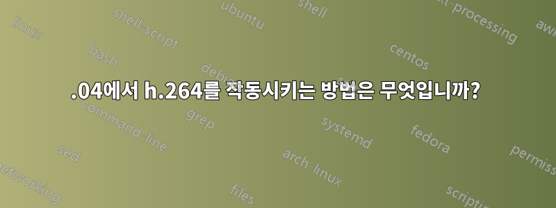 14.04에서 h.264를 작동시키는 방법은 무엇입니까?