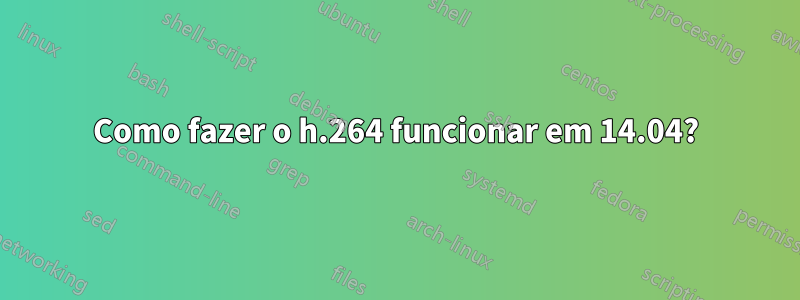 Como fazer o h.264 funcionar em 14.04?
