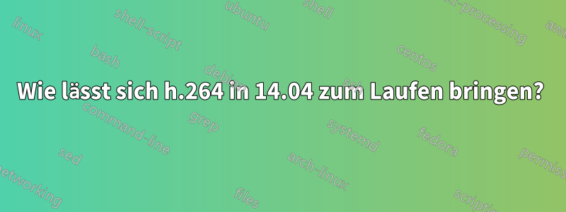 Wie lässt sich h.264 in 14.04 zum Laufen bringen?