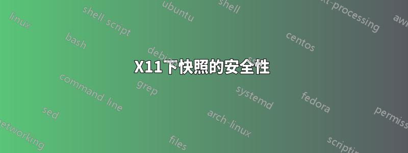 X11下快照的安全性