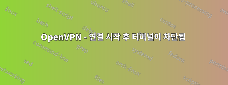 OpenVPN - 연결 시작 후 터미널이 차단됨