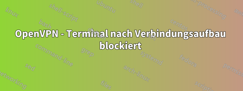 OpenVPN - Terminal nach Verbindungsaufbau blockiert