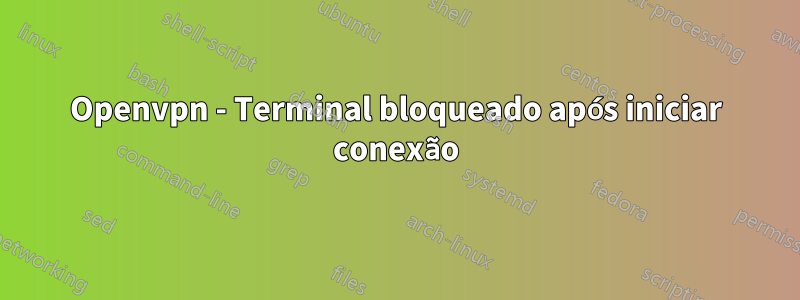 Openvpn - Terminal bloqueado após iniciar conexão