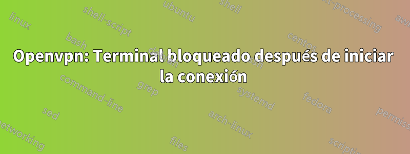 Openvpn: Terminal bloqueado después de iniciar la conexión