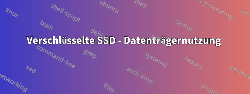 Verschlüsselte SSD - Datenträgernutzung