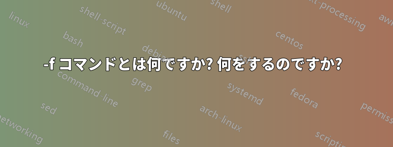 -f コマンドとは何ですか? 何をするのですか? 