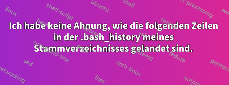 Ich habe keine Ahnung, wie die folgenden Zeilen in der .bash_history meines Stammverzeichnisses gelandet sind.