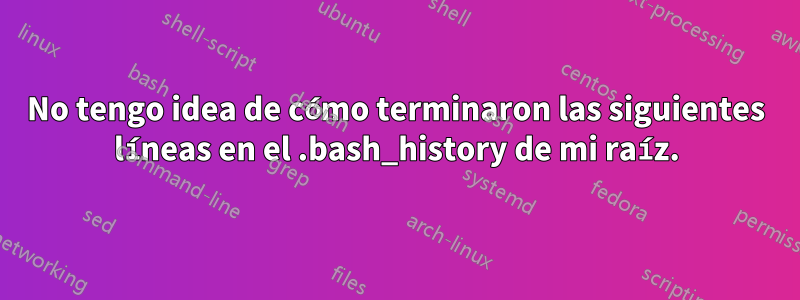 No tengo idea de cómo terminaron las siguientes líneas en el .bash_history de mi raíz.