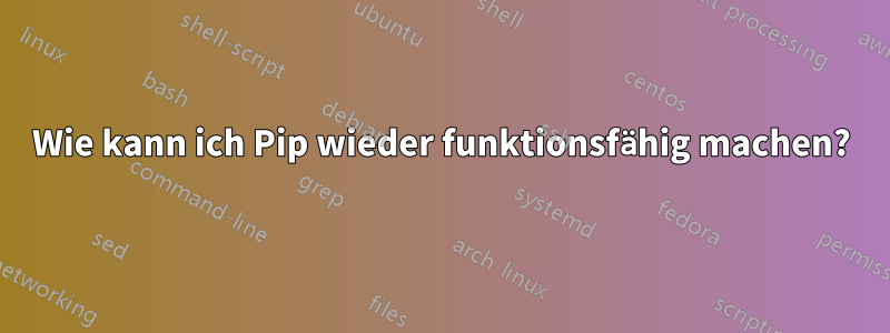 Wie kann ich Pip wieder funktionsfähig machen?