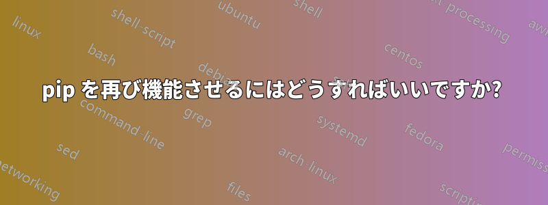 pip を再び機能させるにはどうすればいいですか?