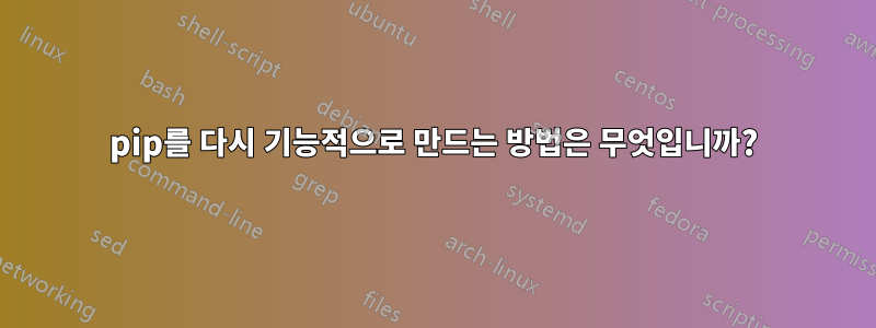 pip를 다시 기능적으로 만드는 방법은 무엇입니까?